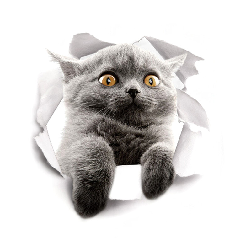  3D наклейка прикольного котяги.