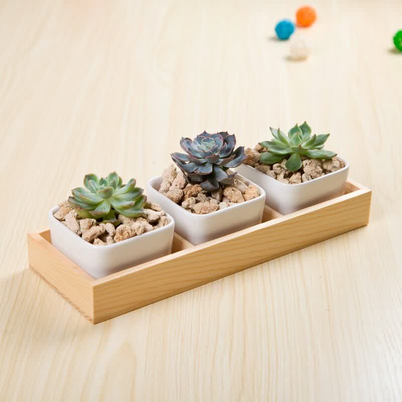 Indoor Square White Ceramic Plant Pot Cactus Succulent Planter Indoor Square White Ceramic Plant Pot Cactus Succulent Planter With Wooden Tray Set Of 3